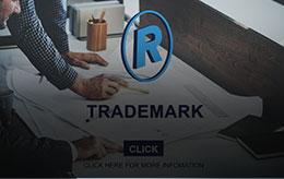 PRZEDMIOT OCHRONY PATENTOWEJ 